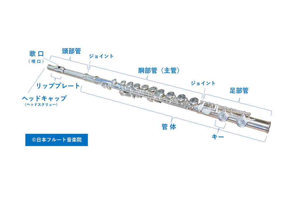 口紅 セール の部分の 名称